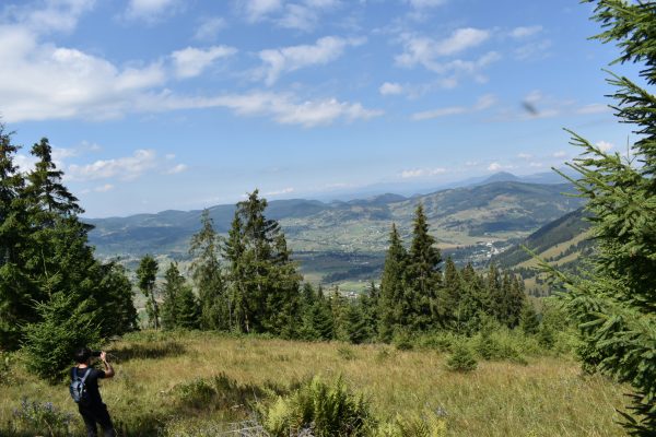 Depresiune_Sarului